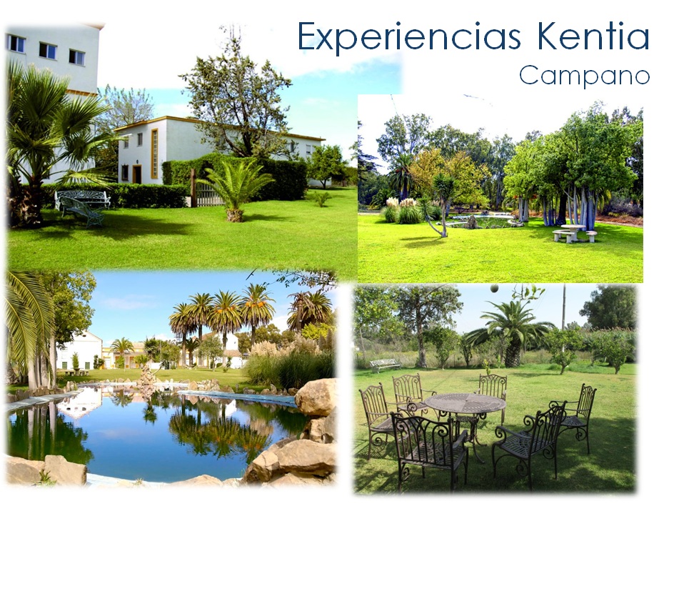 Kentia Coaching Noticias EXPERIENCIAS KENTIA - Jornadas 19 y 20 octubre